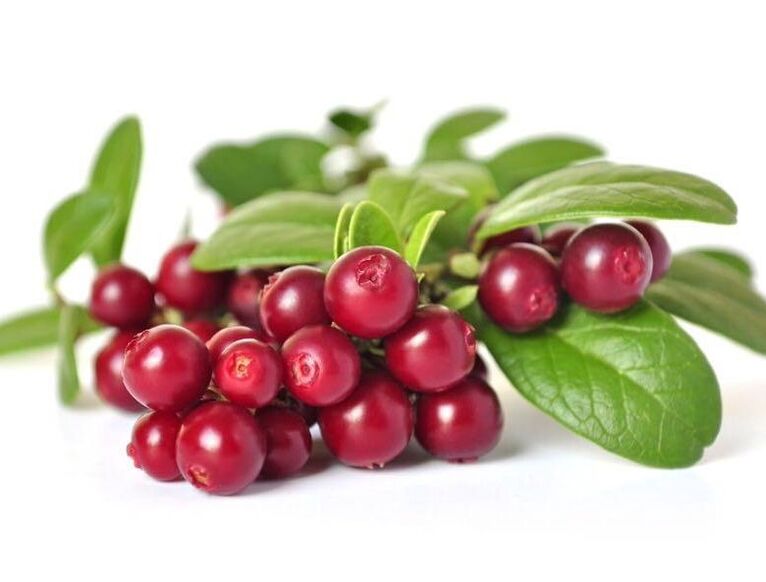 cranberry in Predstonorm capsules